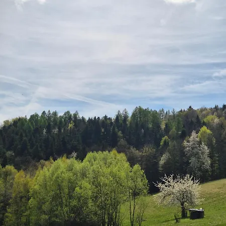 Apartamento Jaszczurówka Pod Leskowcem Jaszczurowa